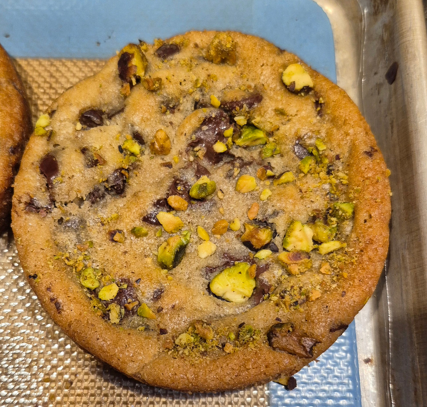 Chocolate Chip