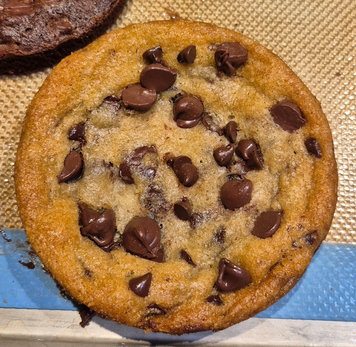 Chocolate Chip