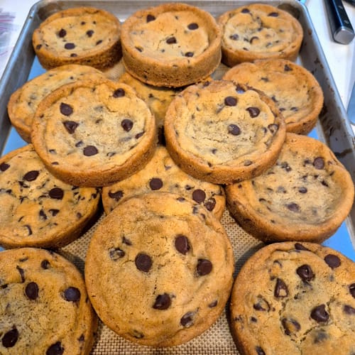 Chocolate Chip